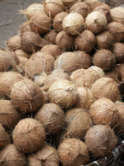 Noix de coco
