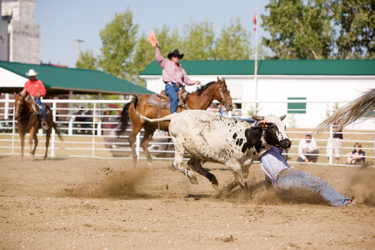 Steer Wrestling