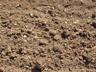 terre fond marron