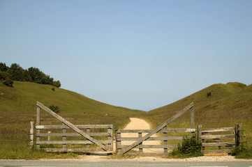 Wiese © oliver berkhausen