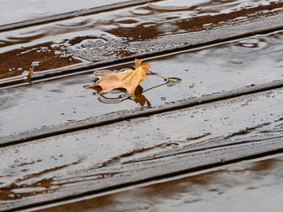 rainy day, leaf on the deck