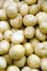 White Potatos