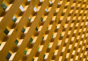 Wooden trellis in sunlight  