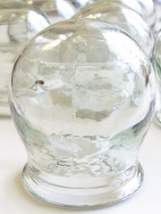 spider in the medical cupping glass