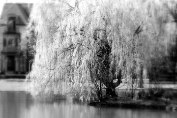 Schiller Park