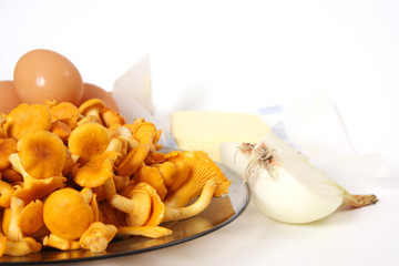 Chanterelle on plate, near eggs, onion and butter