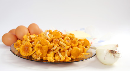 Chanterelle on plate, near eggs, onion and butter