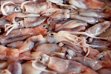 raw octopus sold on the fish market