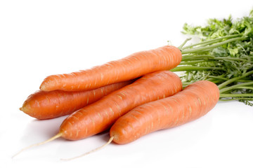 Carrot