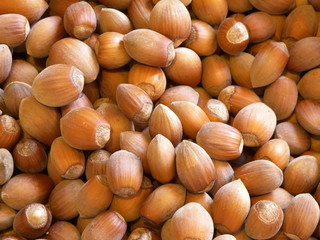 noisettes