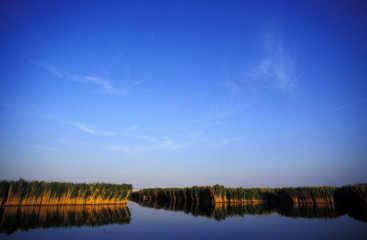 Fototapeta premium Neusiedlersee bei Rust