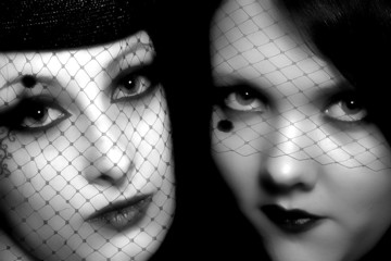 Fototapeta premium black widows