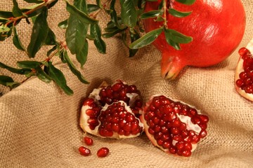 pomegranate