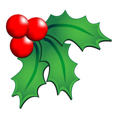 Christmas holly ornament over white background