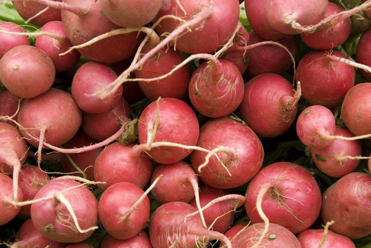 Radishes