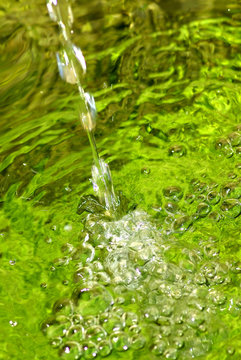 Water gushes out of the source on deep green © inacio pires
