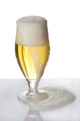 Beer foam