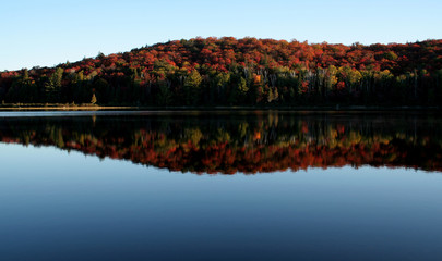 Algonquin Fall Shoreline