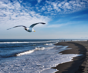Coastal view © Dmitry Pichugin