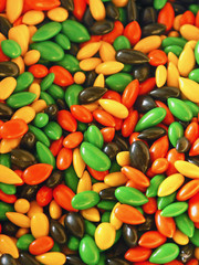 Manycoloured confectionary sun-flower seed