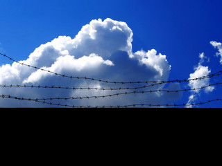 Razor wire