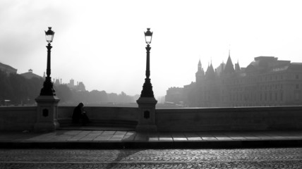 Obraz premium Pont Neuf - Paris, France