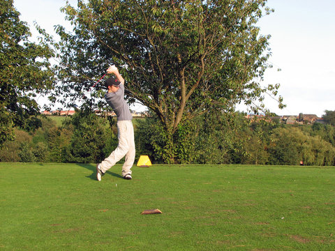 The Golfer Driving