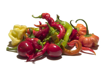 VARIETÀ DI PEPERONCINI