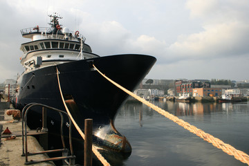 Abeille bourbon dans le port de brest