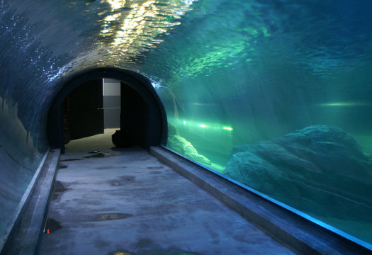 Tunnel through the tank