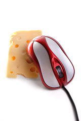 Mice like cheese
