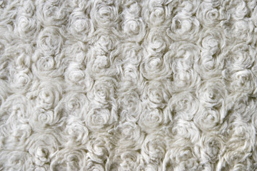 curly wool CU
