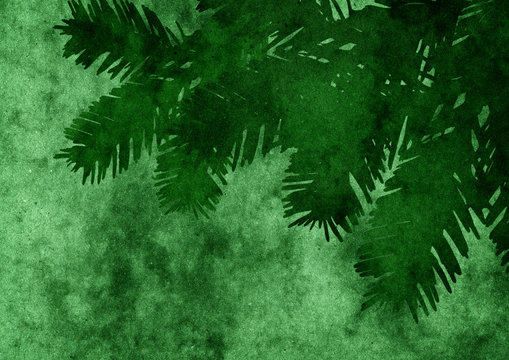christmas tree branches textures background