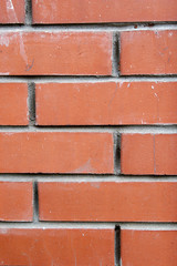 Obraz premium Brick texture