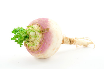 radish