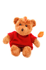 Autumn Teddy Bear