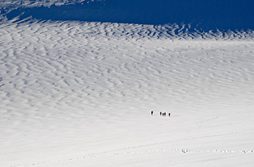 Five people trekking  on a field of snow
