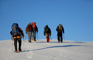 Five people trekking  on a mountain - 4731602