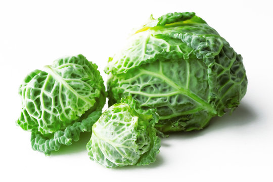 Fresh green cabbages