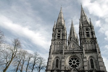 Fototapeta premium St. Fin Barre Cathedral, Cork, Ireland