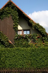 Fototapeta na wymiar Drewniany dom