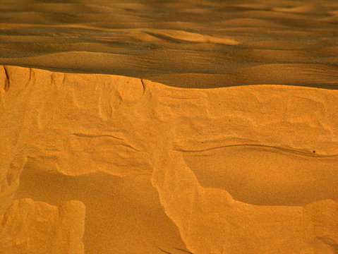 Sahara Sand