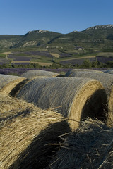 les ballots de paille en avant stockage