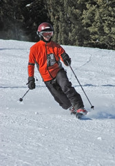 telemarker skier