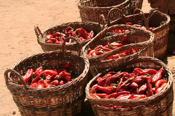 Baskets of Chile Peppers (Capsicum annuum)