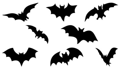 Halloween Bats - obrazy, fototapety, plakaty