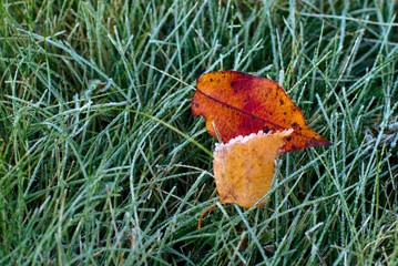 Late autumn