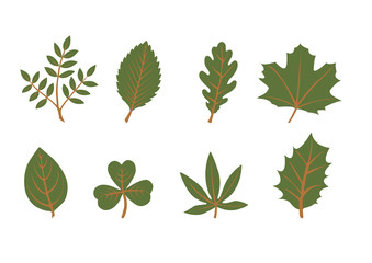set of vector leaf shapes