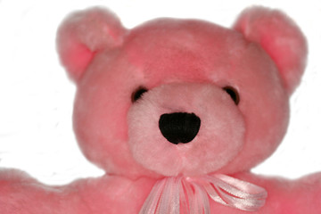 Muzzle of pink teddy bear