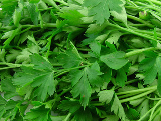 Parsley